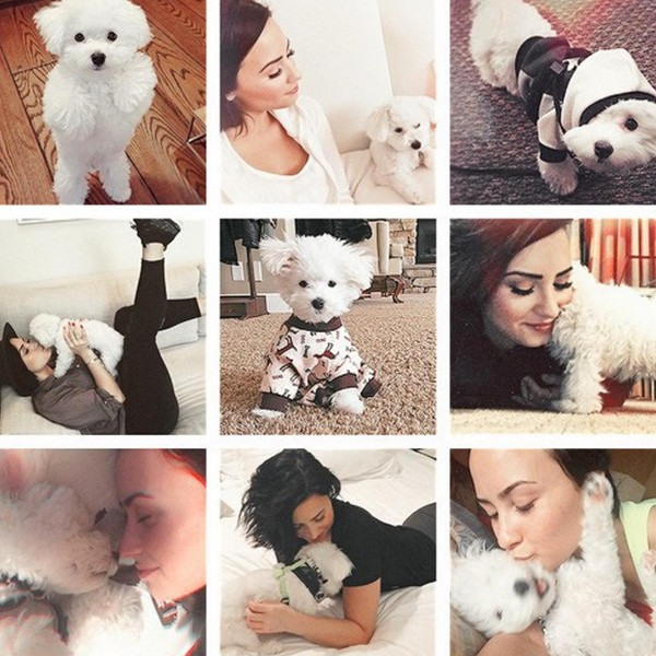 Demi Lovato, Instagram Demi Lovato, Instagram